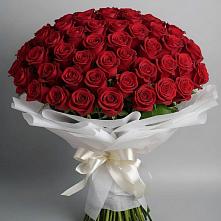 Букет 101 Красная роза Блэк Мэджик в Шебалино