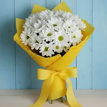 Букет цветов из:  Хризантемы в Шебалино