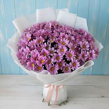 Букет цветов из:  Хризантемы в Шебалино