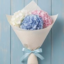 Букет цветов из:  Гортензия в Шебалино