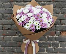 Букет цветов из:  Хризантемы в Шебалино