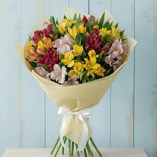 Букет цветов из:  Альстромерии в Шебалино