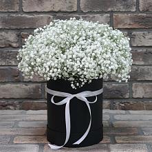 Цветочная композиция из Гипсофила в шляпной коробке #REPLACE_PRED# Шебалино