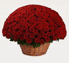 Премиум букет из: Розы в Шебалино