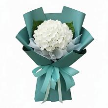 Букет цветов из:  Гортензия #REPLACE_PRED# Шебалино
